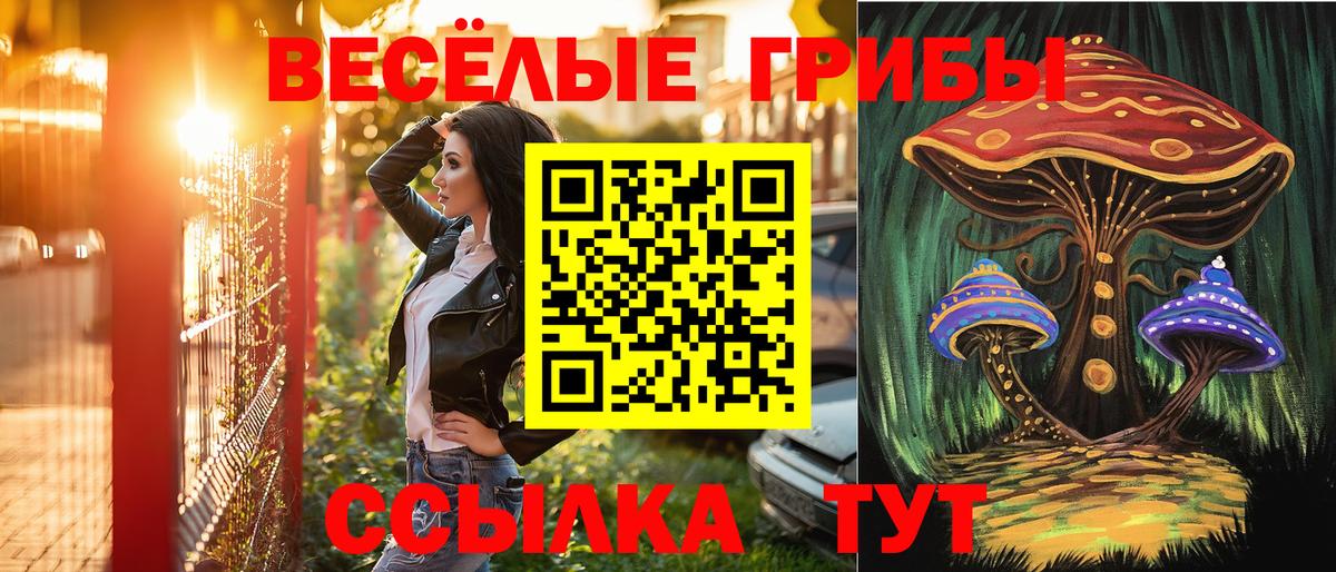 Галлюциногенные грибы мицелий Новоалександровск
