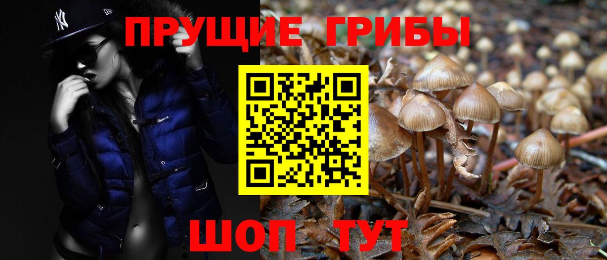 Галлюциногенные грибы прущие грибы  Вход с VPN  Новоалександровск 