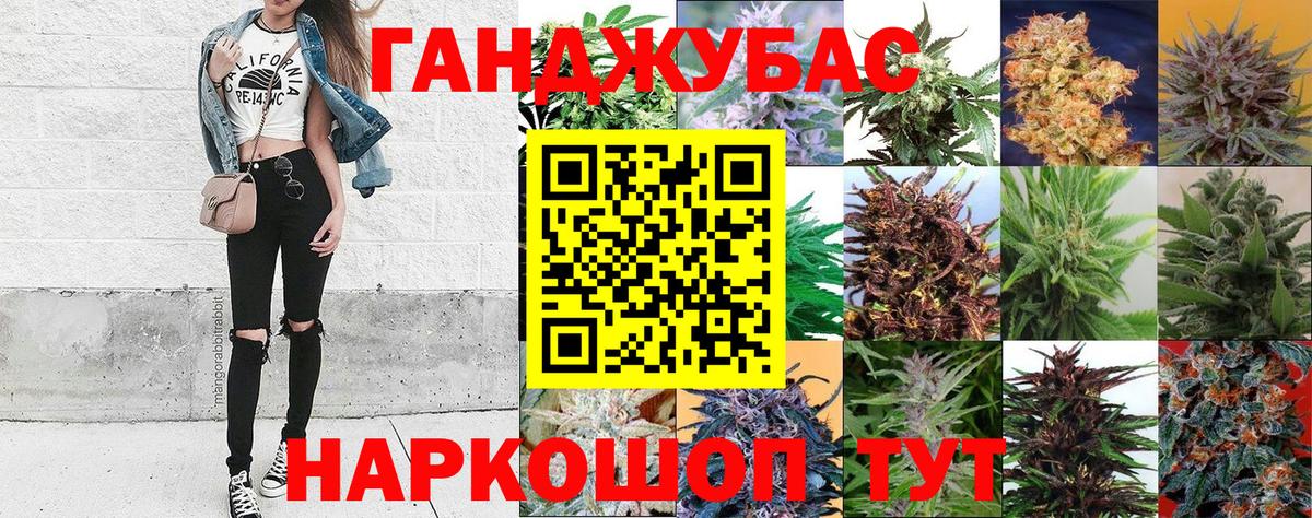 Конопля конопля Новоалександровск